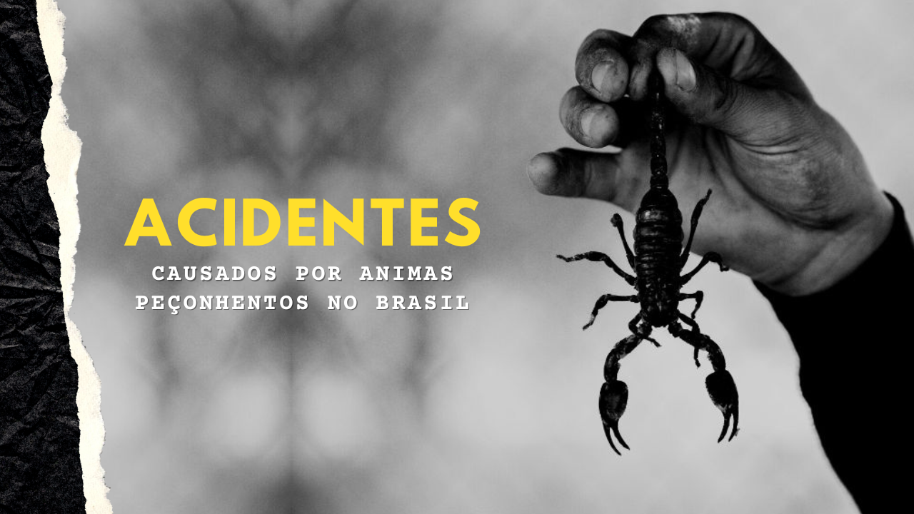 Acidentes causados por animas peçonhentos no Brasil