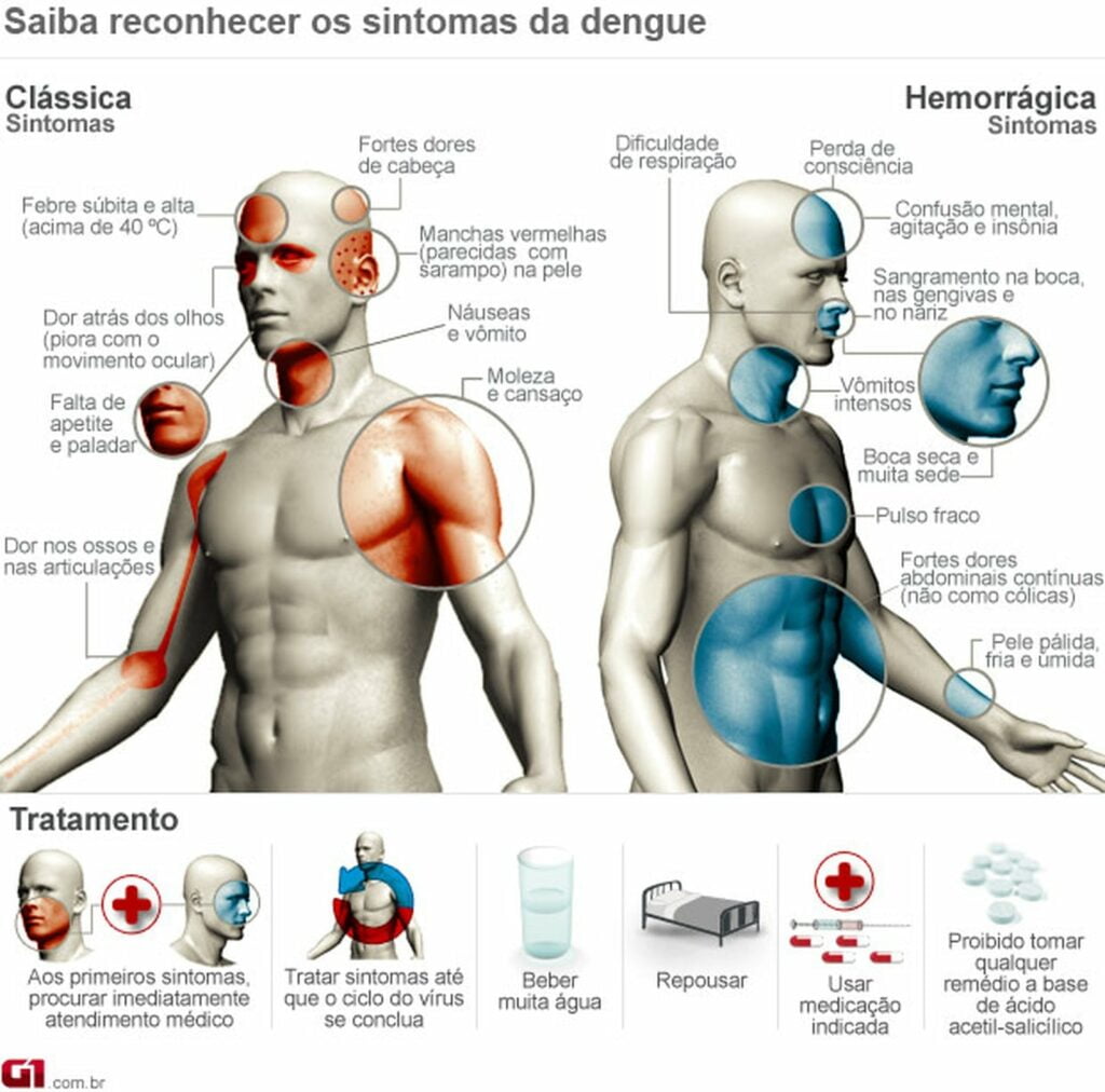 Saiba quais são os sintomas da dengue — Foto: Editoria de Arte G1
