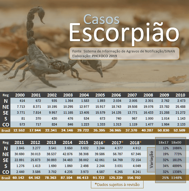 especialista-do-vital-brazil-fala-sobre-o-aumento-da-incidencia-de-acidentes-com-escorpioes-no-pais