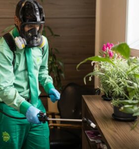 desinservice pqsaudeambiental - Pragas e Eventos