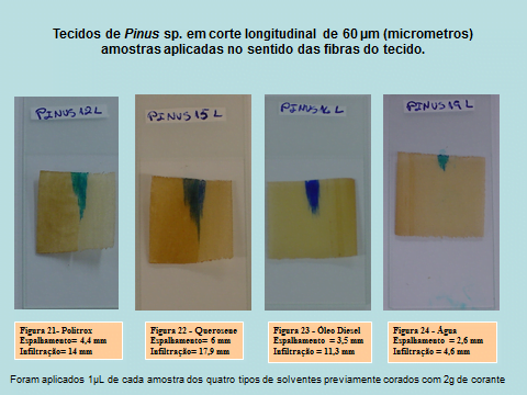 image 2 - Pragas e Eventos
