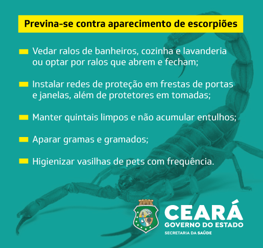 banner CB site picada escorpiao 20222401 2 1 - Pragas e Eventos