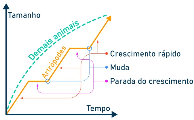 escorpiao1 - Pragas e Eventos